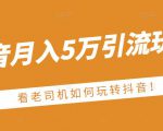 老古董·抖音月入5万引流玩法,看看老司机如何玩转抖音(附赠:抖音另类引流思路)-润泽资源库