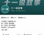 十一说故事·故事性中视频,观众快速共鸣从而快速变现的中视频玩法-润泽资源库