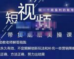 吴Sir·短视频带货底层实操课,教你如何选爆品、了解获短视频流量密码,正确起号-润泽资源库