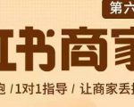 贾真-小红书商家营第6期商家版,21天带货陪跑课,让商家丢掉付流量-润泽资源库