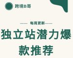 【跨境B哥】独立站潜力爆款选品推荐,测款出单率高达百分之80-润泽资源库