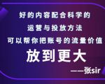 张sir账号流量增长课,告别海王流量,让你的流量更精准-润泽资源库