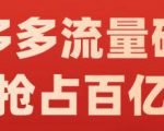 阿杰·拼多多流量破局:如何打黑标,爆款的思路,拼多多流量框架,快速抢占百亿流量-润泽资源库