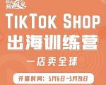 疯人院:TikTok Shop出海训练营(一店卖全球),出海抢占全球新流量-润泽资源库