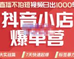 推易电商·2022年抖音小店爆单营，不直播、不拍短视频、日出1000单，暴力玩法-润泽资源库