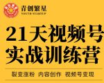 张萌21天视频号实战训练营,裂变涨粉、内容创作、视频号变现 价值298元-润泽资源库