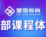星雪教育淘系高级班,更全的运营提升方案,零基础由浅入深,店铺最新玩法-润泽资源库