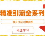 闲鱼精准引流全系列课程,每天引流100精准粉【视频课程】-润泽资源库