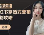 苏歆:小红书穿透式营销收割攻略,引爆流量,助你玩转小红书-润泽资源库
