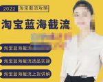 2022淘宝蓝海截流攻略,淘宝蓝海截流选品上货实操讲解-润泽资源库