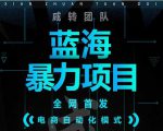 引流哥蓝海暴力躺赚项目：无需发圈无需引流无需售后，每单赚50-500（教程+线报群)-润泽资源库