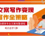 自媒体专业文案写作变现,月入10W+写作策略,教你从零开始学写作-润泽资源库