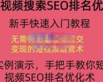 宋老师·短视频搜索SEO优化,教你10分钟创作一个短视频,三天排名上第一-润泽资源库