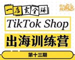 TikTokShop出海训练营（第十三期），打开全球流量新思维，出海抢占全球新流量，一店卖全球-润泽资源库