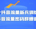 Peter抖音流量新兵训练营-破解抖音流量密码群爆训练营(新兵)-润泽资源库