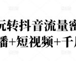 2022玩转抖音流量密码,(直播+短视频+千川)-润泽资源库