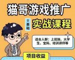 猫哥·游戏推广实战课程,单视频收益达6位数,从0到1成为优质游戏达人-润泽资源库