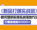 凌童《新品打爆实战班》,一套完整的实操实战落地方法,打爆链接超2000+(28节课)-润泽资源库