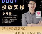 小马哥-Dou+投放实操课,抖加投放,随心推,付费起号逻辑,打破低播放转化-润泽资源库