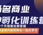 杨名商业IP孵化训练营,从商业到内容到转化一站式学 价值5980元-润泽资源库