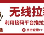 最新接码无限拉新项目，利用接码平台赚拉新平台差价，轻松日赚500+-润泽资源库