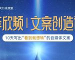 李欣频|文案创造课，0基础可报10天写出“看到就想转”的自媒体文案-润泽资源库