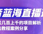 抖音最新蓝海直播玩法，3分钟赚30元，一天轻松1000+，只要你去直播就行【详细玩法教程】-润泽资源库