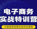 民赛电气内部出品:电子商务实战特训营,全方位带你入门电商,308种方式玩转电商-润泽资源库