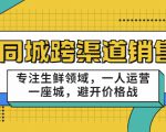 同城跨渠道销售，专注生鲜领域，一人运营一座城，避开价格战-润泽资源库