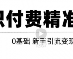 玩转知识付费项目精准引流，给你1套课多账号操作落地方案！-润泽资源库