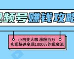玩转微信视频号赚钱：小白变大咖涨粉百万实现快速变现1000万的现金流-润泽资源库