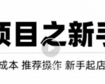 虚拟项目快速起店模式,0成本打造月入几万虚拟店铺!-润泽资源库