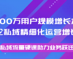 8000万用户规模增长方法论私域精细化运营增长,私域流量硬课助力业务跃迁-润泽资源库