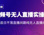 2022年视频号无人直播实操课,打造日不落直播间跟纯无人直播间-润泽资源库