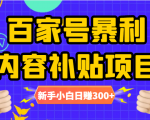 百家号暴利内容补贴项目，图文10元一条，视频30一条，新手小白日赚300+-润泽资源库