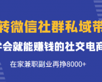 玩转微信社群私域带货，学会就能赚钱的社交电商，在家兼职副业再挣8000+-润泽资源库