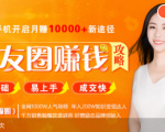 全网千万人气导师亲授:零基础/易上手的朋友圈赚钱攻略,让你轻松月入过万-润泽资源库