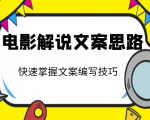 电影解说文案思路课，让你快速掌握文案编写的技巧（3节视频课程）-润泽资源库