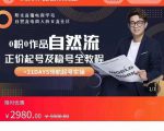 0粉0作品自然流正价起号及稳号全教程,专业自然流起号机构流程化教学(价值2980元)-润泽资源库