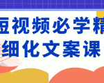 短视频必学精细化文案课，提升你的内容创作能力、升级迭代能力和变现力（价值333元）-润泽资源库