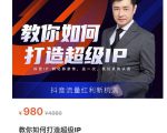 教你如何打造超级IP,抖音流量红利新机遇(价值980元)-润泽资源库