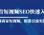 抖音短视频Seo搜索排名优化新手快速入门教程,实体商家短视频,精准引流实操课-润泽资源库