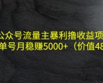 公众号流量主暴利撸收益项目,单人单号月稳赚5000+(价值480元)-润泽资源库