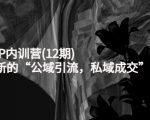 新媒体IP内训营(12期)，一套全新的“公域引流，私域成交”IP打法，直接带走-润泽资源库