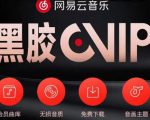 网易云音乐撸黑胶年卡及变现方法,收益可无限放大-润泽资源库