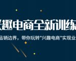 兴趣电商全新训练营:打破品销边界,带你玩转“兴趣电商“实现业务增长-润泽资源库