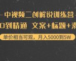 中视频二创解说训练营：从0到精通 文案+标题+素材、月入5000到5W-润泽资源库