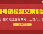 视频号短视频文案训练营:0基础小白如何建立视频号,上热门,能卖货!-润泽资源库