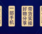 好物分享高阶实操课：0基础一部手机做好好物分享带货（24节课）-润泽资源库