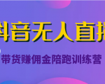 抖音无人直播带货赚佣金陪跑训练营(价值6980元)-润泽资源库
